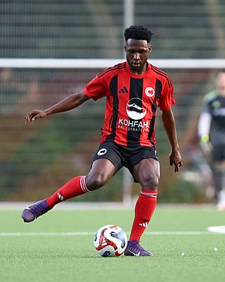 Francis Dominic Amoah