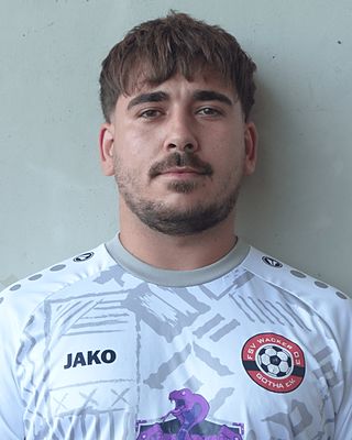 Daniel-Gheorghe Aciubotaritei