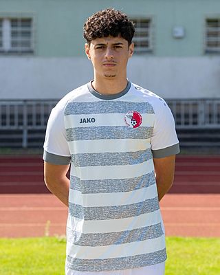 Amir Hossein Farhadi