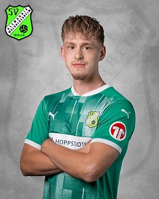 Vincent Henrik Johann Zimmermann