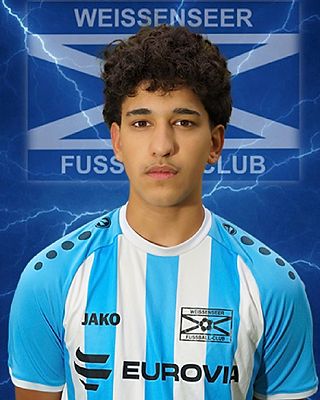 Arjun-Domenic Petrich