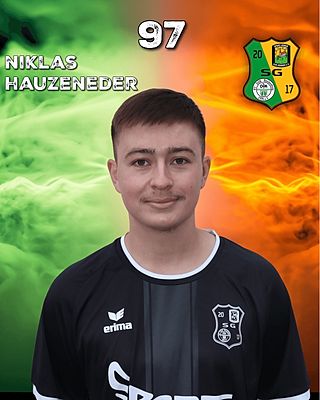 Niklas Hauzeneder