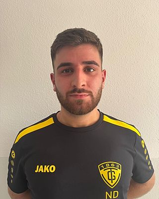 Narmsen David