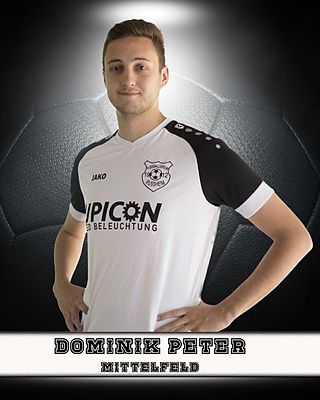 Dominik Peter