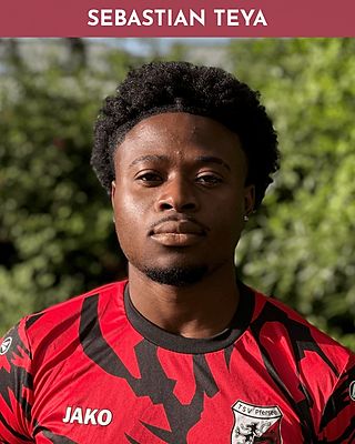 Sebastian Teya