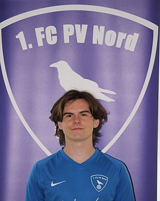 Simon Wollesen