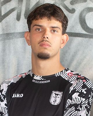 Dino Redzic