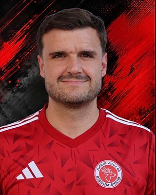 Daniel Diener