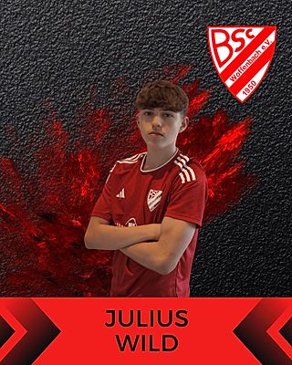 Julius Wild