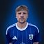 Dominik Leitner