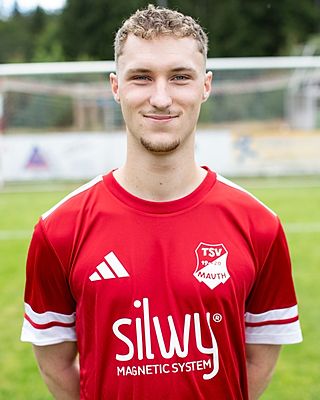Dominik Gibis