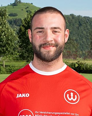 Luca Luigi Migliozzi