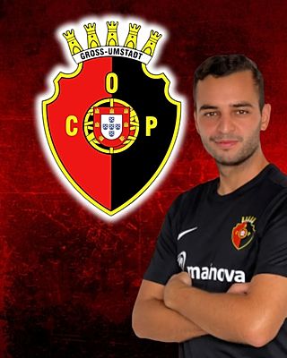 Telmo Ferreira Matos