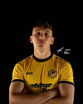 Fabian Zengerle