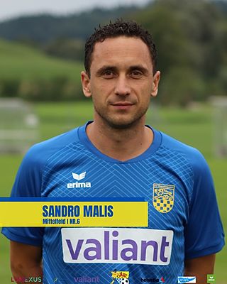 Sandro Malis