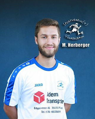 Mario Herberger
