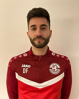 David Teixeira Ferreira