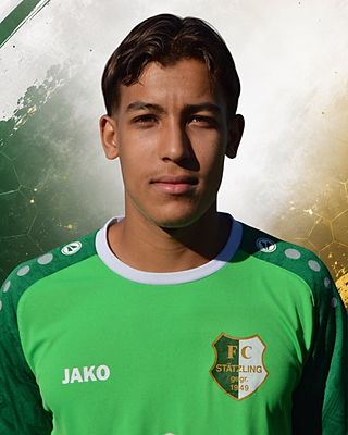 Saad Ammar