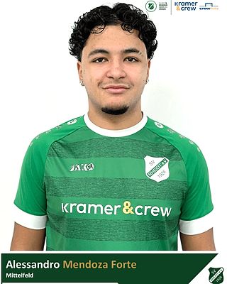 Alessandro Mendoza Forte