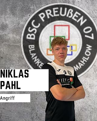 Niklas Wolfgang Pahl