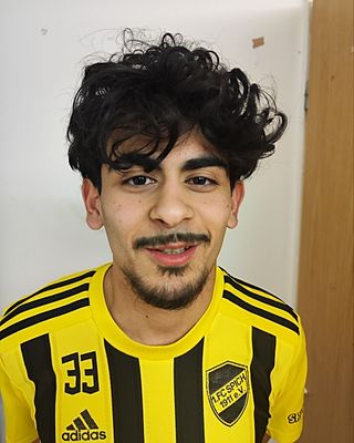 Anil Dervis Tasdemir