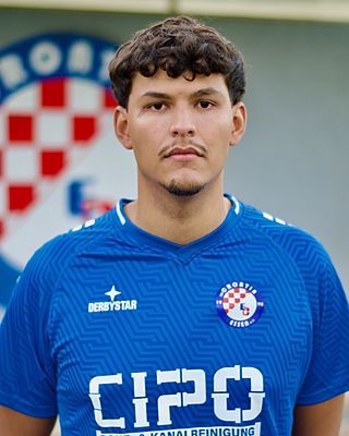 Dominik Mesquita