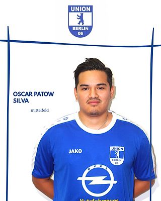 Oscar Patow Silva