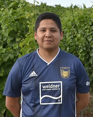 Fernando Quispe V.