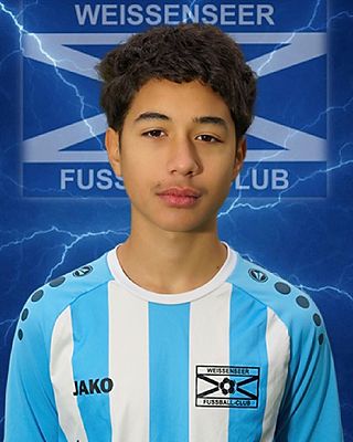 Metin Birol Soyarslan