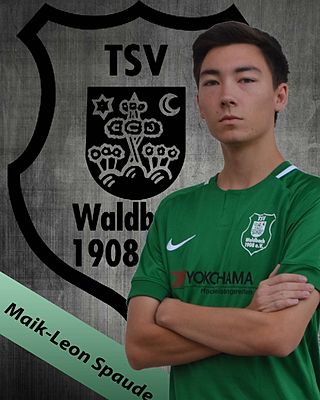 Maik-Leon Spaude