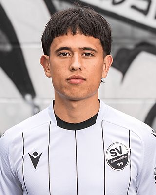 Luca Ramon de Meester de Tilbourg