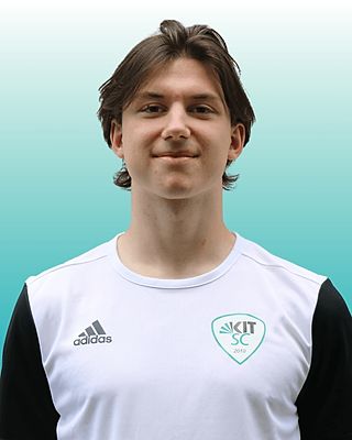 Henrik-Julius Hilmer