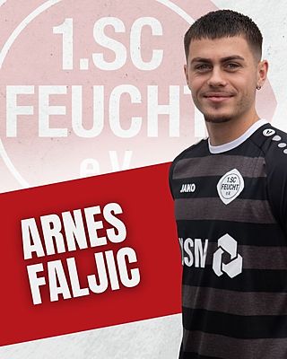 Arnes Faljic