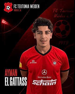 Ayman El Gattass