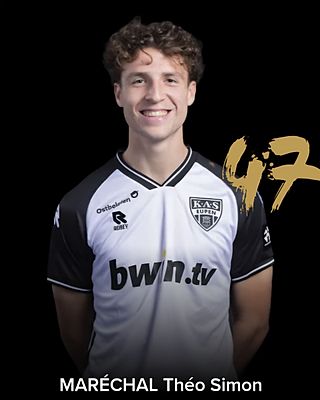 Theo Marechal
