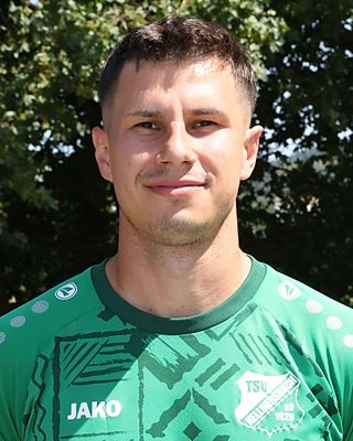 Wladimir Franz