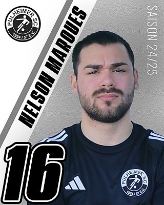 Nelson Ferreira Marques