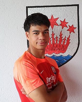 Jonas Mendes Gomes