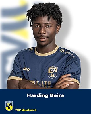 Harding Mac Stuell Beira
