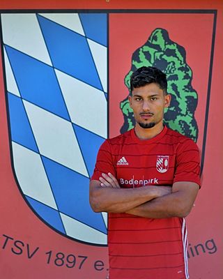 Patrice Herzog