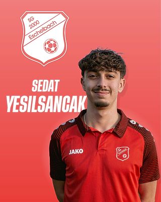Sedat Yesilsancak