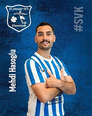 Mehdi Hasoglu