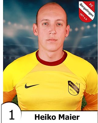 Heiko Maier