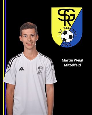 Martin Weigl