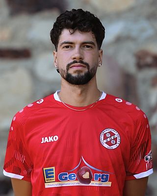 Michel Stoy