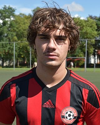 Gregor Frank