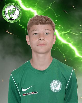 Lennis Marc Schneider