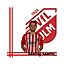 Matej Matic