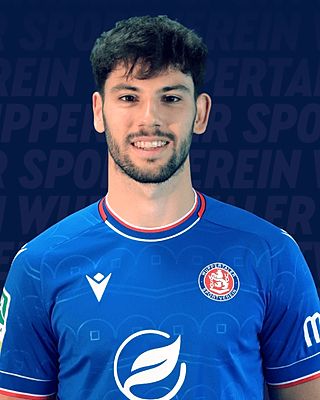 Aldin Dervisevic