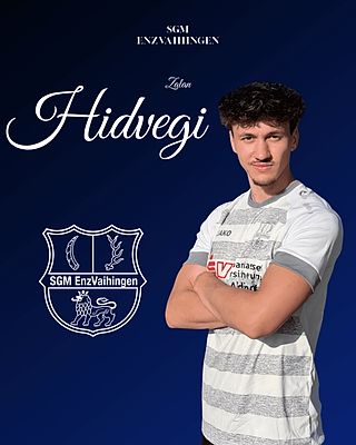 Zalan Hidvegi